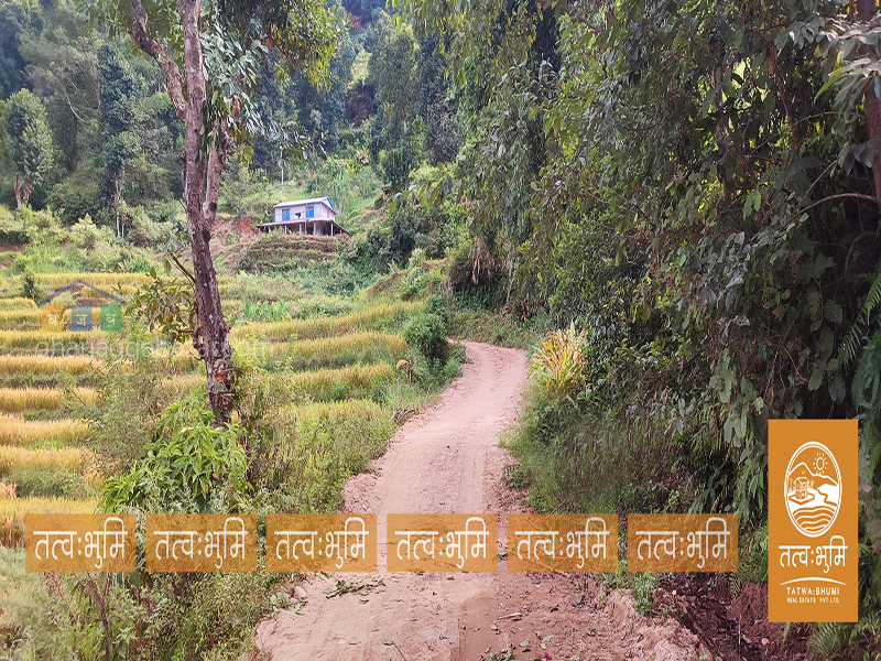Land on Sale at Katheri Nuwakot
